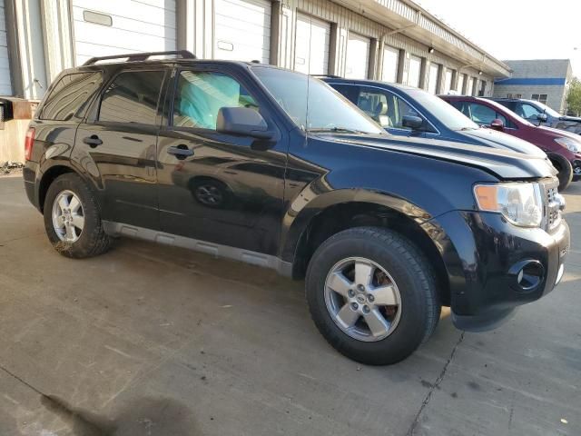 2010 Ford Escape XLT