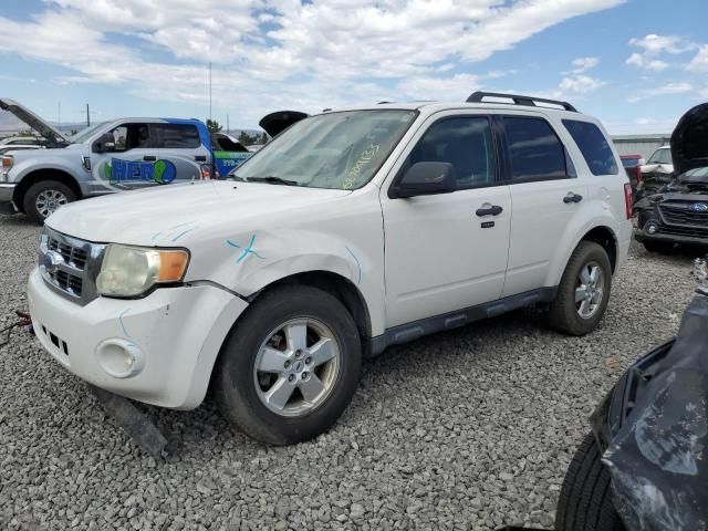 2009 Ford Escape XLT