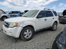 Salvage cars for sale from Copart Reno, NV: 2009 Ford Escape XLT