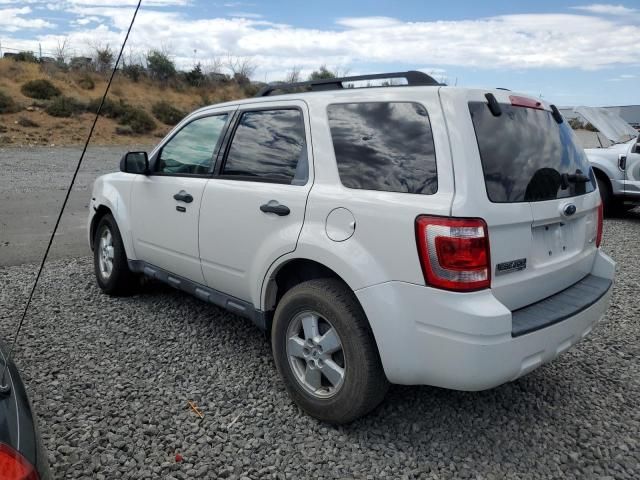 2009 Ford Escape XLT