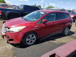 Salvage cars for sale from Copart Denver, CO: 2013 Ford Escape SE