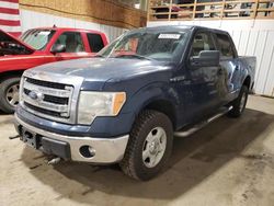 Salvage cars for sale from Copart Anchorage, AK: 2014 Ford F150 Supercrew