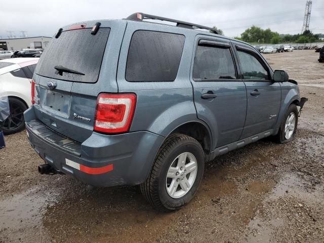 2010 Ford Escape Hybrid