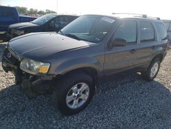 Ford Vehiculos salvage en venta: 2005 Ford Escape XLT