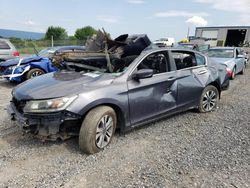 Salvage cars for sale from Copart Chambersburg, PA: 2013 Honda Accord LX