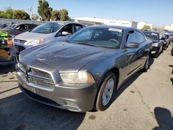 Dodge Charger salvage cars for sale: 2011 Dodge Charger