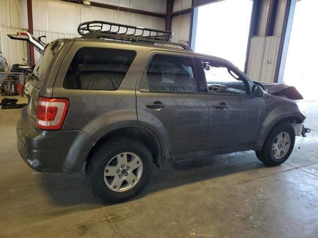 2009 Ford Escape XLT