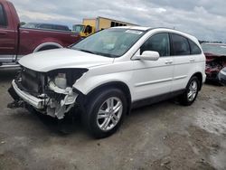 Salvage cars for sale from Copart Cahokia Heights, IL: 2010 Honda CR-V EXL