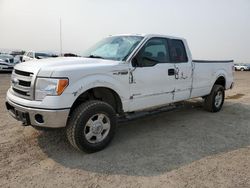 Salvage cars for sale from Copart Helena, MT: 2013 Ford F150 Super Cab