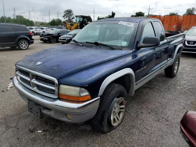 2001 Dodge Dakota