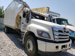 Salvage trucks for sale at Greenwood, NE auction: 2023 Hino 258 268