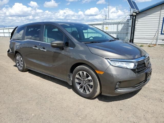 2023 Honda Odyssey EXL