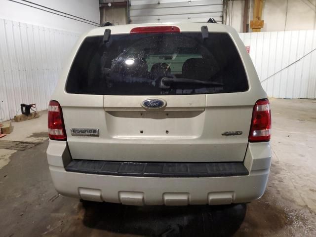 2008 Ford Escape XLT