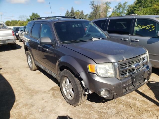 2010 Ford Escape XLT