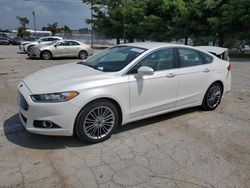 Salvage cars for sale at Lexington, KY auction: 2013 Ford Fusion SE