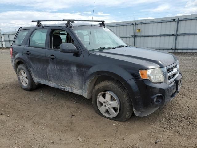 2011 Ford Escape XLS