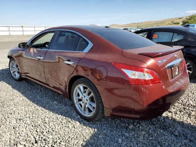 2010 Nissan Maxima S