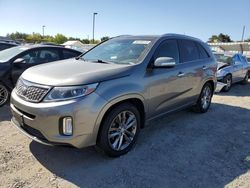 KIA Sorento SX salvage cars for sale: 2014 KIA Sorento SX