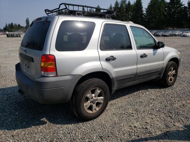 2005 Ford Escape XLT