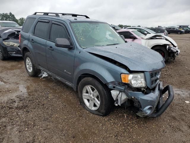 2010 Ford Escape Hybrid