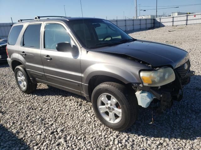 2005 Ford Escape XLT