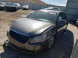 Salvage cars for sale at Albuquerque, NM auction: 2007 Toyota Avalon XL