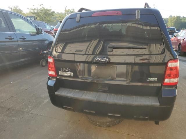 2010 Ford Escape XLT