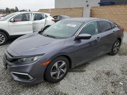 Salvage cars for sale at Mentone, CA auction: 2020 Honda Civic LX
