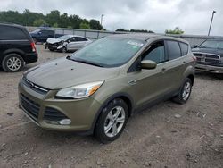 Salvage SUVs for sale at auction: 2013 Ford Escape SE