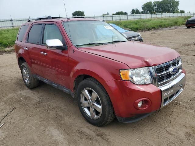 2011 Ford Escape Limited