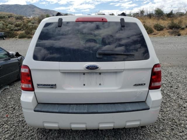 2009 Ford Escape XLT