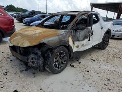 Vehiculos salvage en venta de Copart Homestead, FL: 2024 Hyundai Santa Cruz SEL