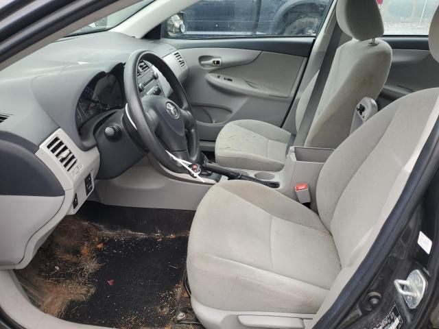 2011 Toyota Corolla Base