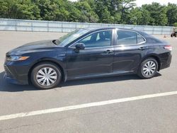 Salvage cars for sale at Brookhaven, NY auction: 2020 Toyota Camry LE
