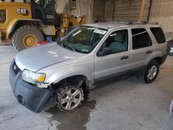 Salvage cars for sale at York Haven, PA auction: 2005 Ford Escape XLT
