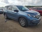 2019 Honda Pilot EXL