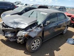 Salvage cars for sale from Copart Brighton, CO: 2009 Toyota Corolla Base