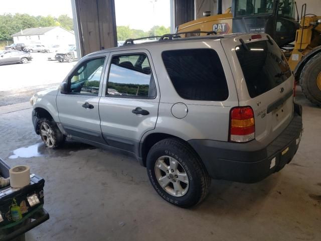 2005 Ford Escape XLT