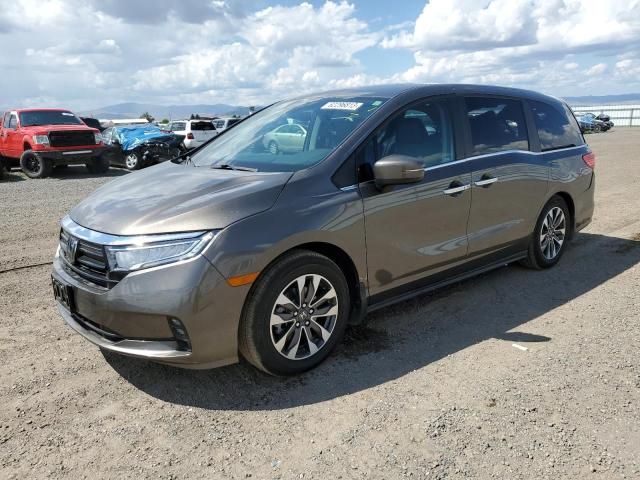 2023 Honda Odyssey EXL