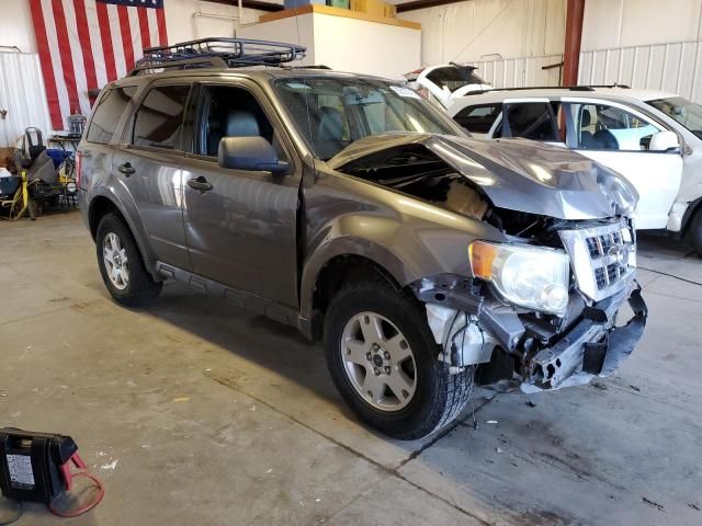 2009 Ford Escape XLT