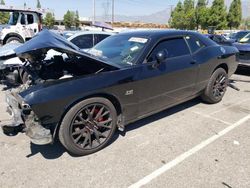 Dodge Challenger salvage cars for sale: 2013 Dodge Challenger R/T