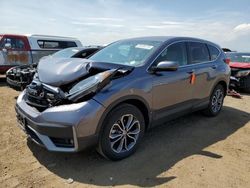 Vehiculos salvage en venta de Copart Brighton, CO: 2022 Honda CR-V EX