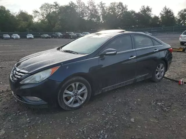 2011 Hyundai Sonata SE