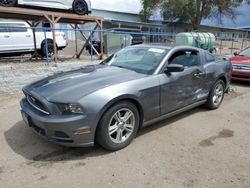 Salvage cars for sale at Albuquerque, NM auction: 2014 Ford Mustang