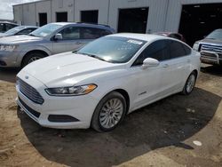 Salvage cars for sale at Jacksonville, FL auction: 2014 Ford Fusion SE Hybrid