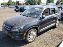 Volkswagen Tiguan salvage cars for sale: 2012 Volkswagen Tiguan S