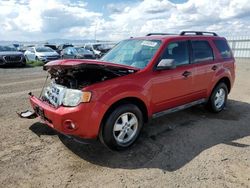 Vehiculos salvage en venta de Copart Helena, MT: 2010 Ford Escape XLT