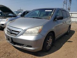 Salvage cars for sale at Dyer, IN auction: 2006 Honda Odyssey EXL