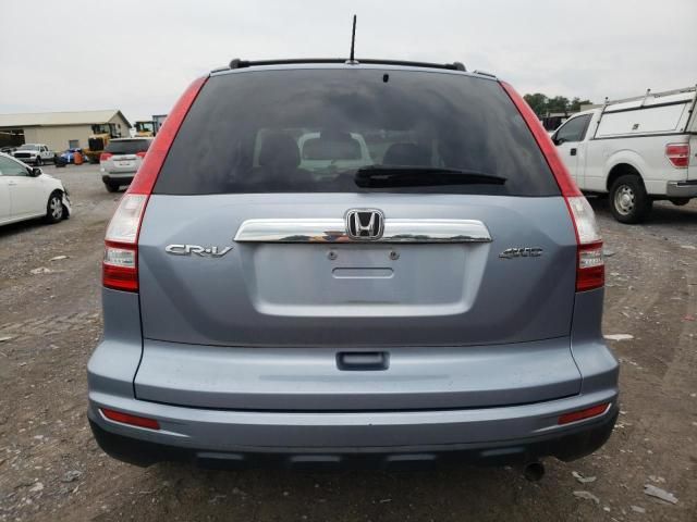 2010 Honda CR-V EXL