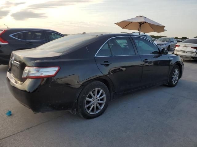 2010 Toyota Camry Hybrid